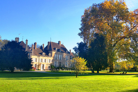 Installé dans 40 hectares de verdure traversés par la rivière le Cousin, l’hôtel-restaurant du Château de Vault-de-Lugny est entièrement tourné vers le bien-être de ses visiteurs.