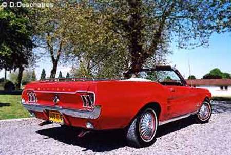 FORD MUSTANG