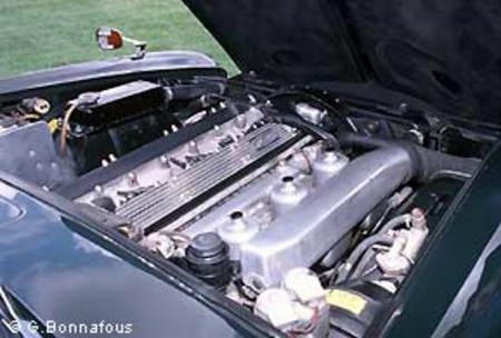 JAGUAR