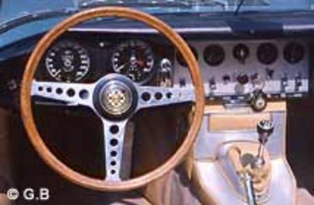 JAGUAR