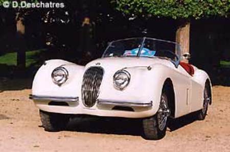 JAGUAR