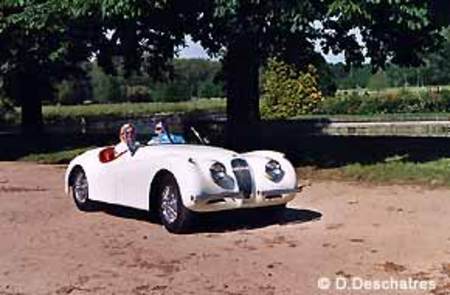JAGUAR