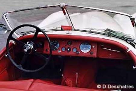 JAGUAR