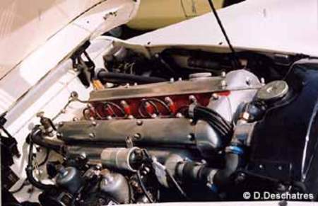JAGUAR