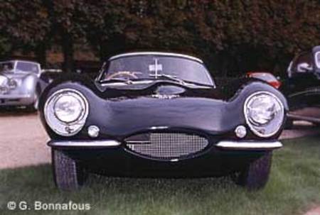 JAGUAR