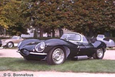JAGUAR