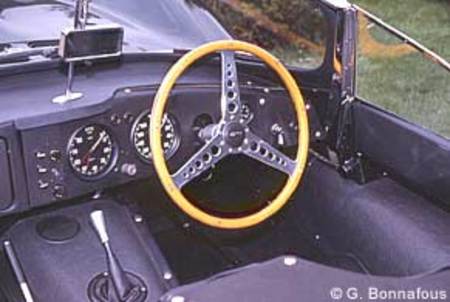 JAGUAR