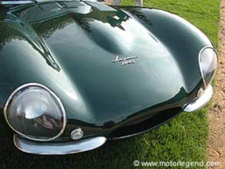 JAGUAR