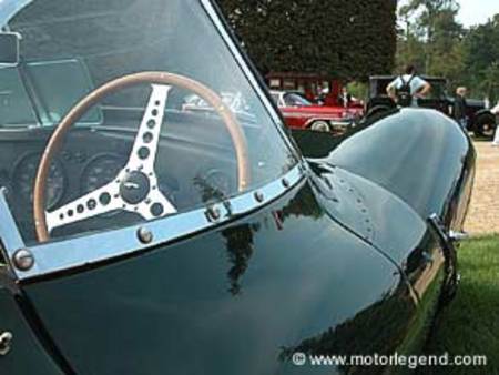 JAGUAR