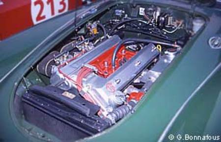 MG