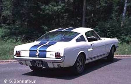 SHELBY