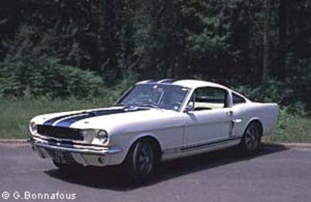 SHELBY
