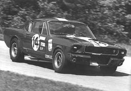 SHELBY