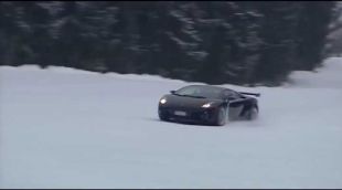 Gallardo à la neige