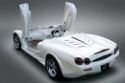 Concept Mitsuoka Orochi Nude Top Roadster