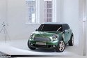 Mini Paceman