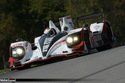 HPD ARX-03a/Musle Milk Pickett Racing LMP1 (ALMS)