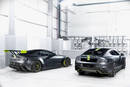 Aston Martin Vantage AMR Pro et Rapide AMR