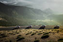 L'Audi e-tron prototype se teste à Pikes peak
