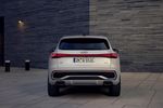 Audi Q5 e-hybrid 2025