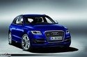 Audi SQ5 TDI 2013