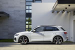 Audi SQ5 TDI (2021)