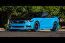 Ford Mustang Petty's Garage - Crédit photo : Barrett-Jackson