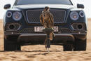 Bentley Bentayga Falconry par Mulliner