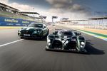 Bentley Continental GT Le Mans et Bentley Speed 8