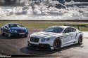 Bentley Continental GT3 : sur la route ?