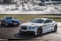 Bentley Continental GT3