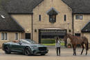 Bentley Mulliner Continental GT Cabriolet Equestrian Edition