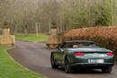 Bentley Mulliner Continental GT Convertible Equestrian Edition