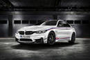 BMW M4 DTM Champion Edition