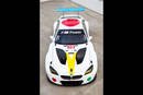 BMW M6 GTLM Art Car 