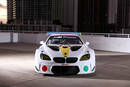 BMW M6 GTLM Art Car 