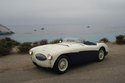 Austin Healey 100S de 1955