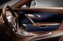 Bugatti Veyron 16.4 Grand Sport Vitesses 
