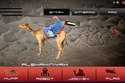 Camel Racing par la police de Dubaï