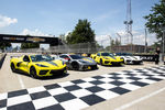 Corvette Stingray IMSA GTLM Championship Edition