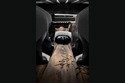 Concept Peugeot Exalt