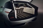 Concept Skoda Vision O 