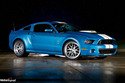 Detroit 2013 : programme Shelby