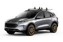 LGE-CTS Motorsports Urban Ford Escape