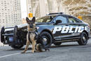 Ford Police Responder Hybrid Sedan