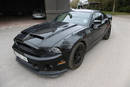 Ford Mustang Shelby GT500 2014 - Crédit photo : Étude Morand