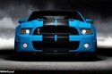 Ford Mustang Shelby GT500