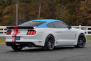 Ford Mustang GT Petty's Garage - Crédit photo : Mecum Auctions