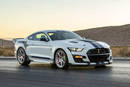 Shelby Mustang GT500 Dragon Snake