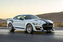 Shelby American Mustang GT500 Dragon Snake